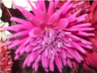 184065eb-Picture 001.jpg